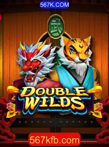 Explorando DoubleWilds: O Jogo que Está Transformando a Diversão Online